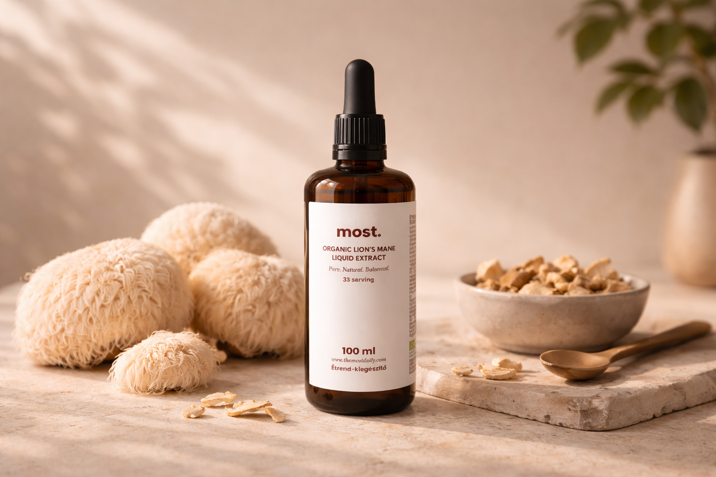 What are functional mushrooms and why you need them