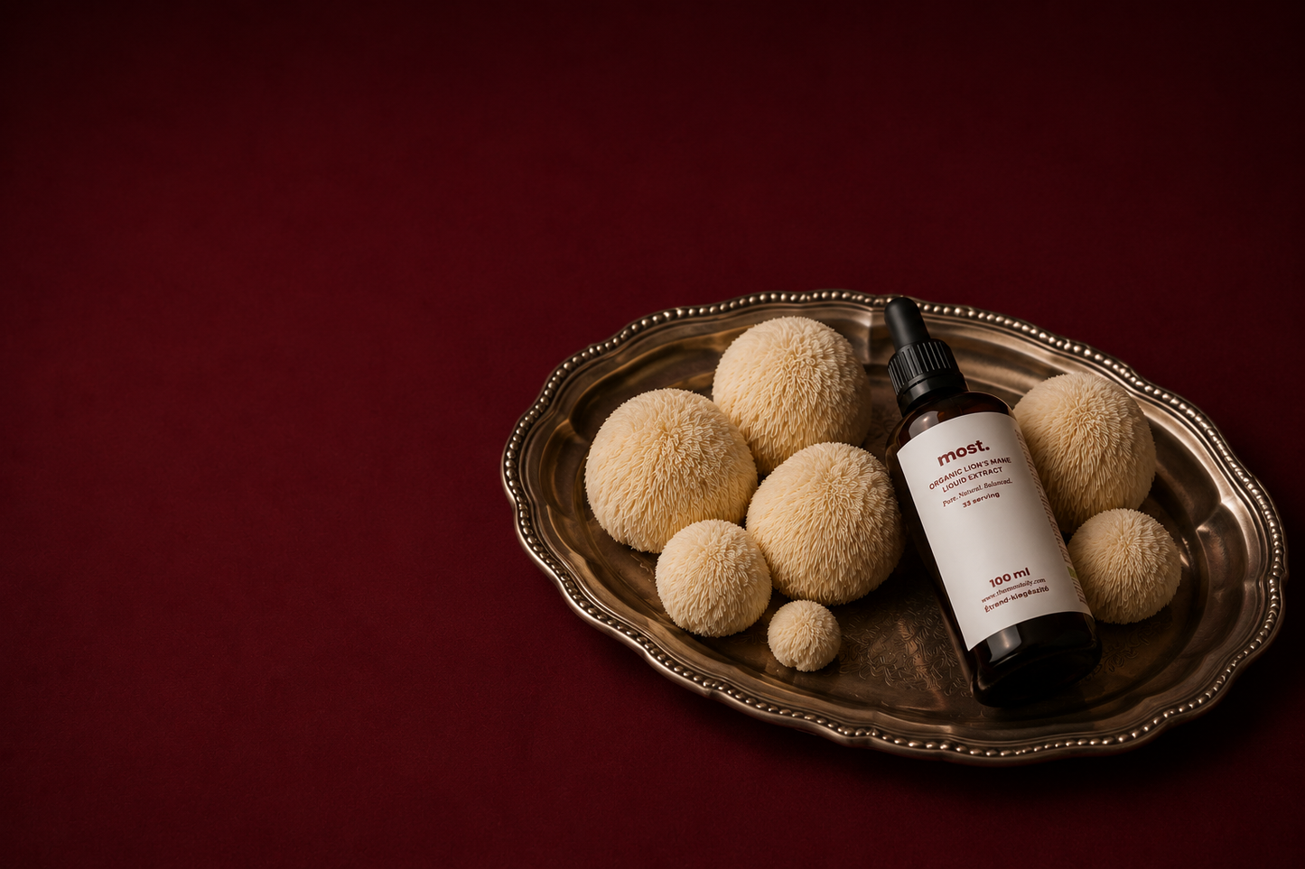 Nerve Growth Factor and Lion's Mane: The science of brain regeneration